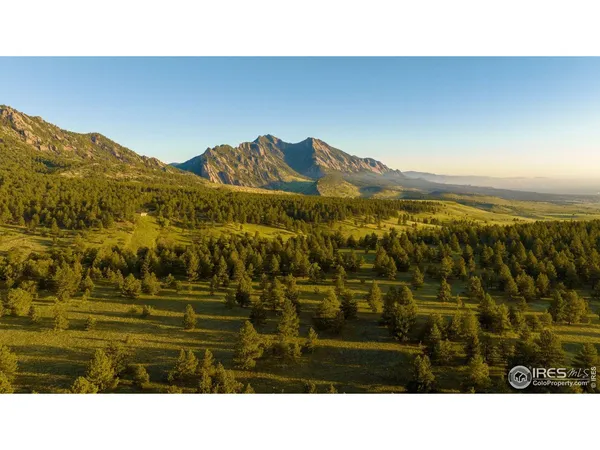 a black and white photo of a lake