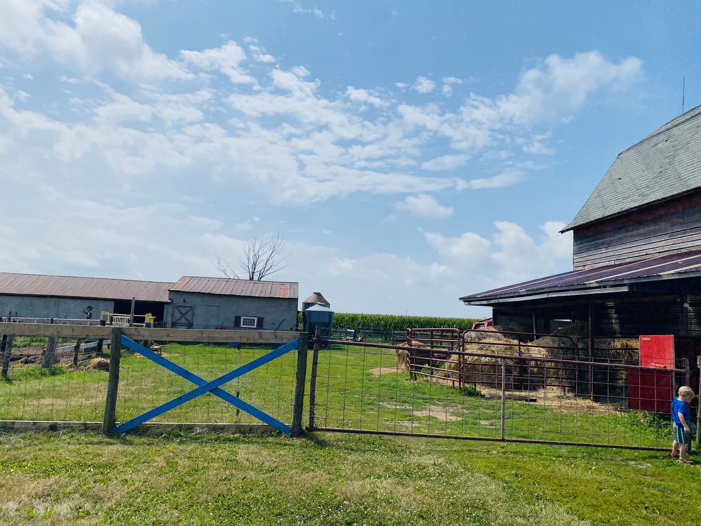 2385 Reynolds Road Ashton, IL 61006 - Photo 22 of 25