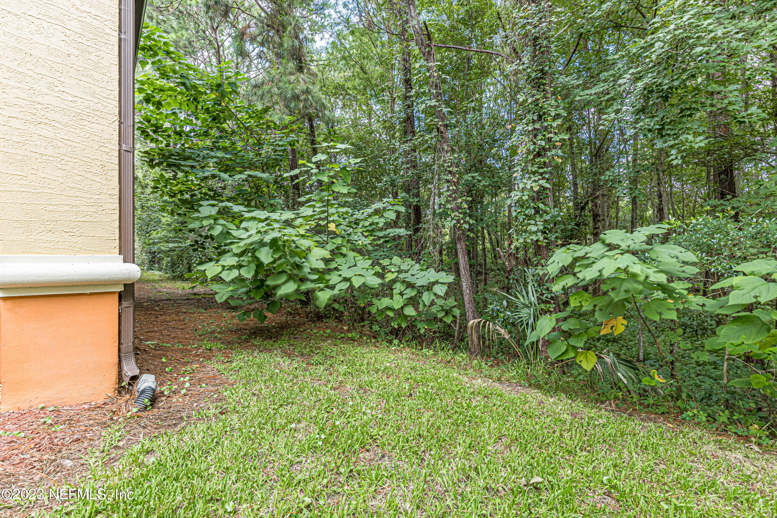9745 Touchton Road, Unit 1105 Jacksonville, FL 32246 - Photo 29 of 64 a view of a yard with plants and large trees