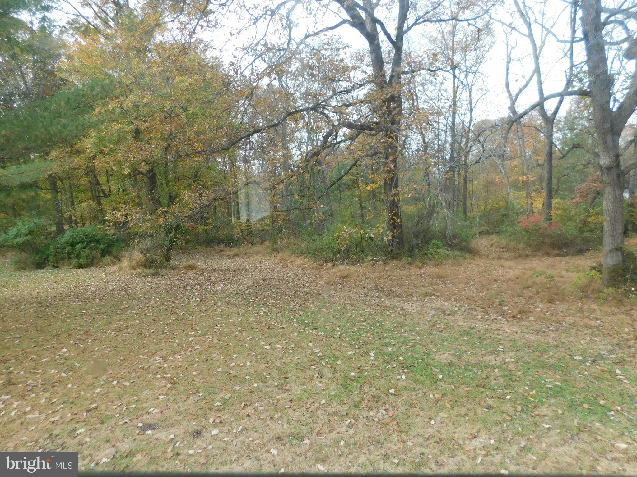 200 Old New Road Warrington, PA 18976 - Photo 20 of 54 Side Yard