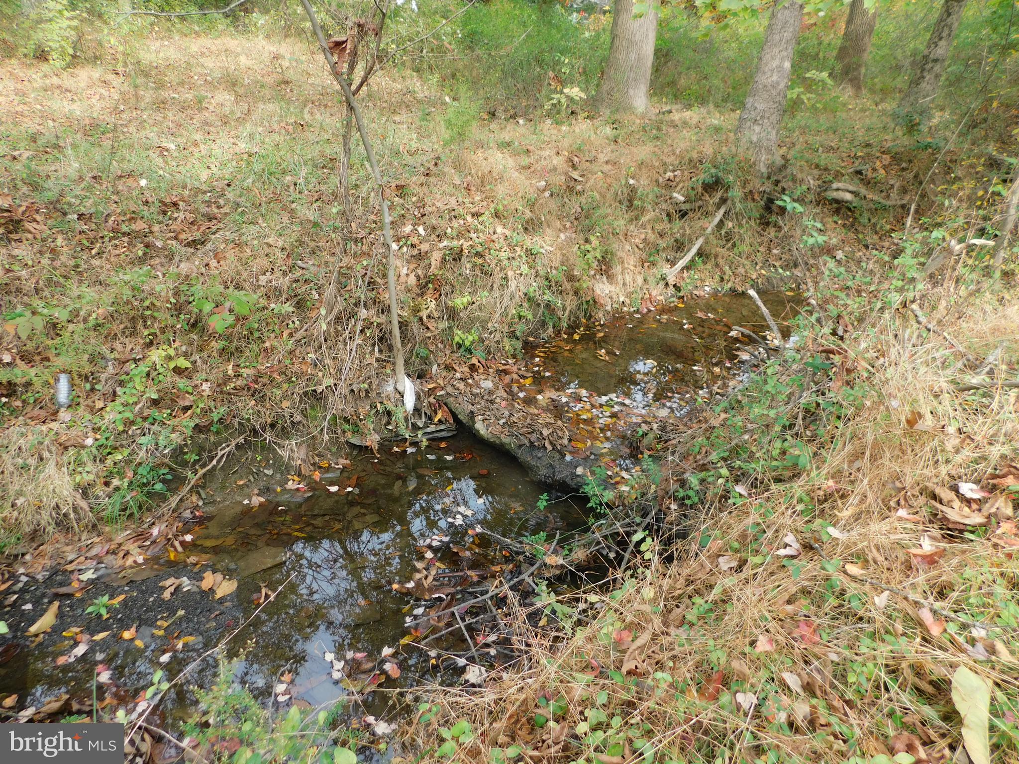 200 Old New Road Warrington, PA 18976 - Photo 44 of 54 Creek