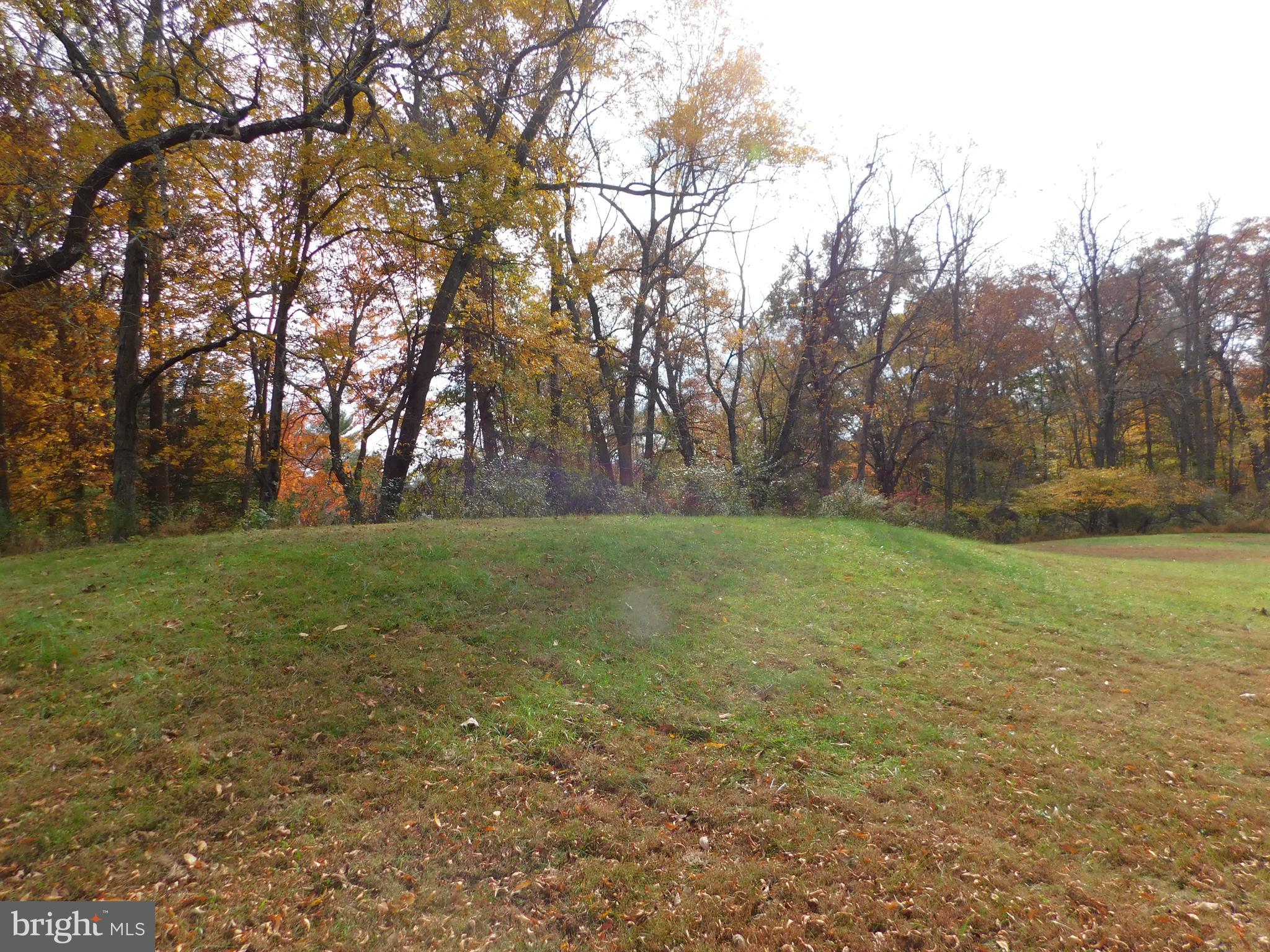 200 Old New Road Warrington, PA 18976 - Photo 53 of 54 Sand Mound