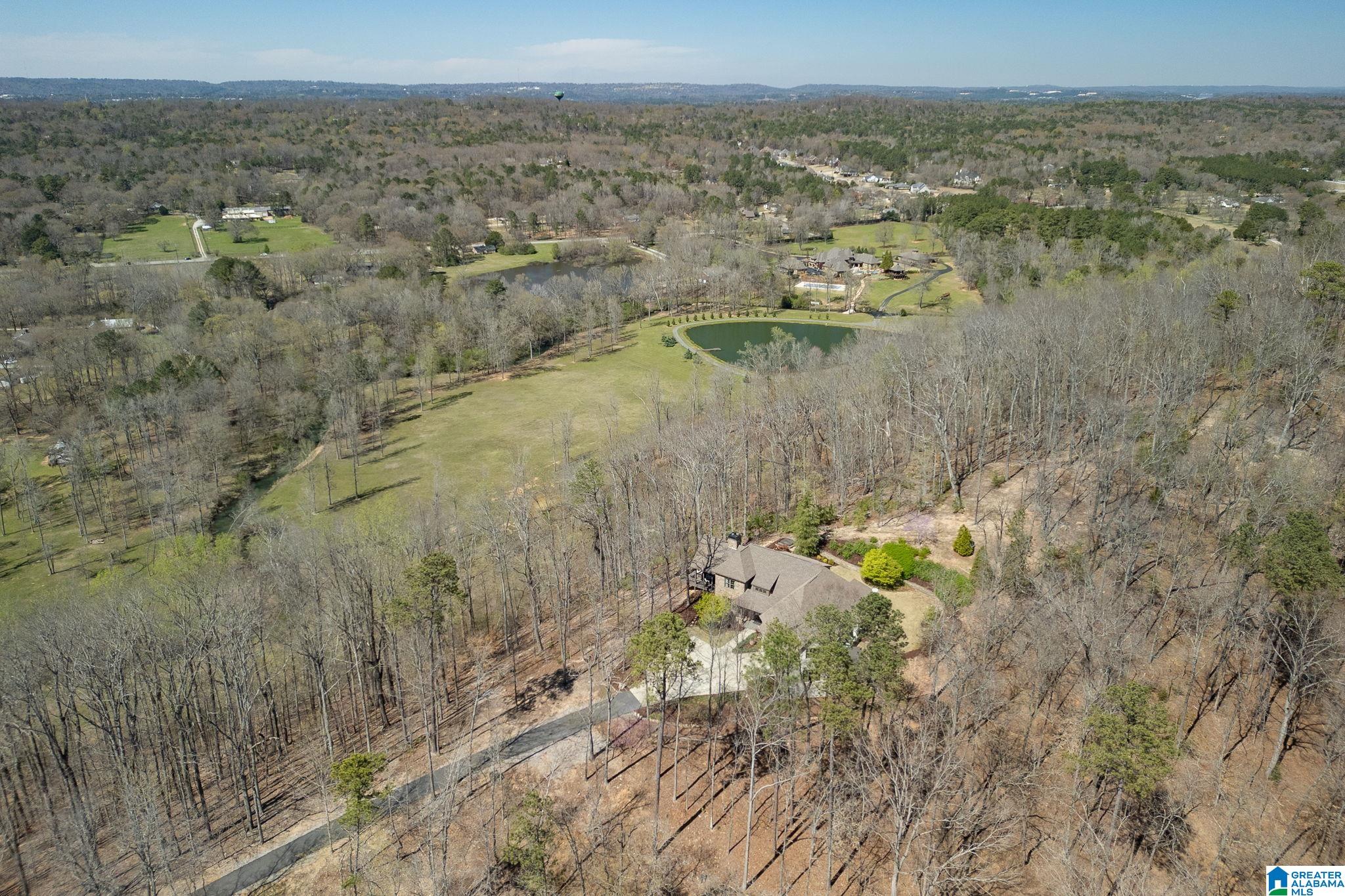 1045 Stagg Run Trail Pelham, AL 35124 - Photo 59 of 68