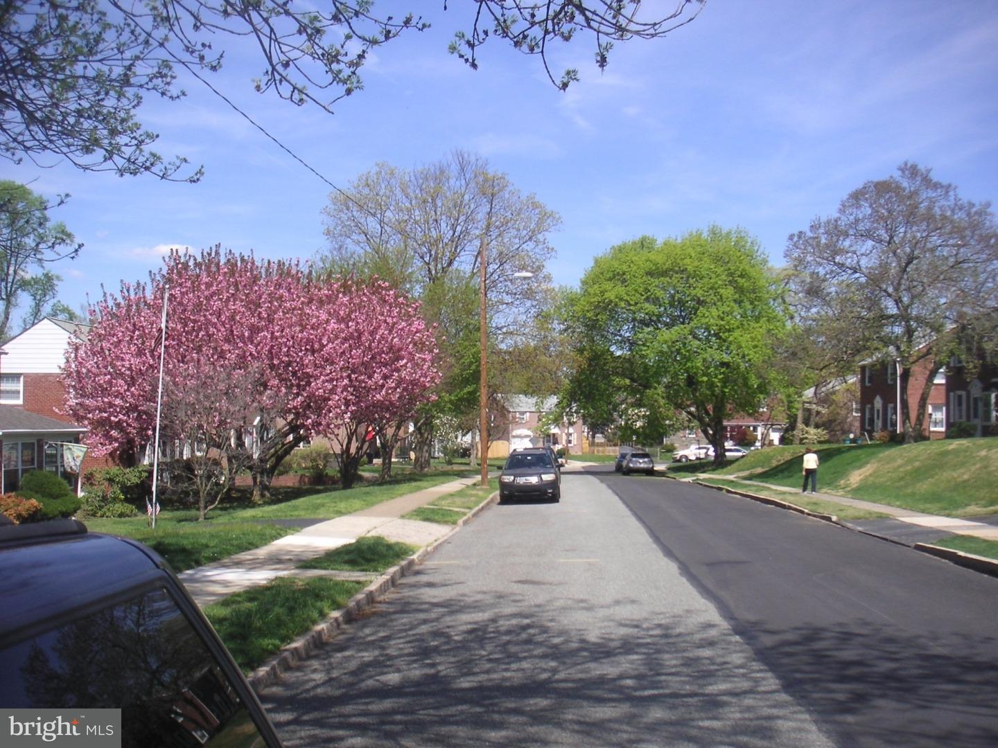 446 Briarhill Road Springfield, PA 19064 - Photo 19 of 19