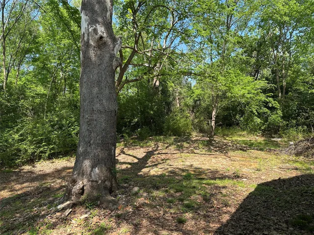 $45,000 | 501 West Maffitt Street, Palestine, TX 75803