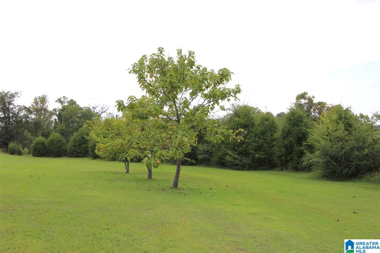 2861 Wellington Road Wellington, AL 36279 - Photo 45 of 50 Gallery Image 45