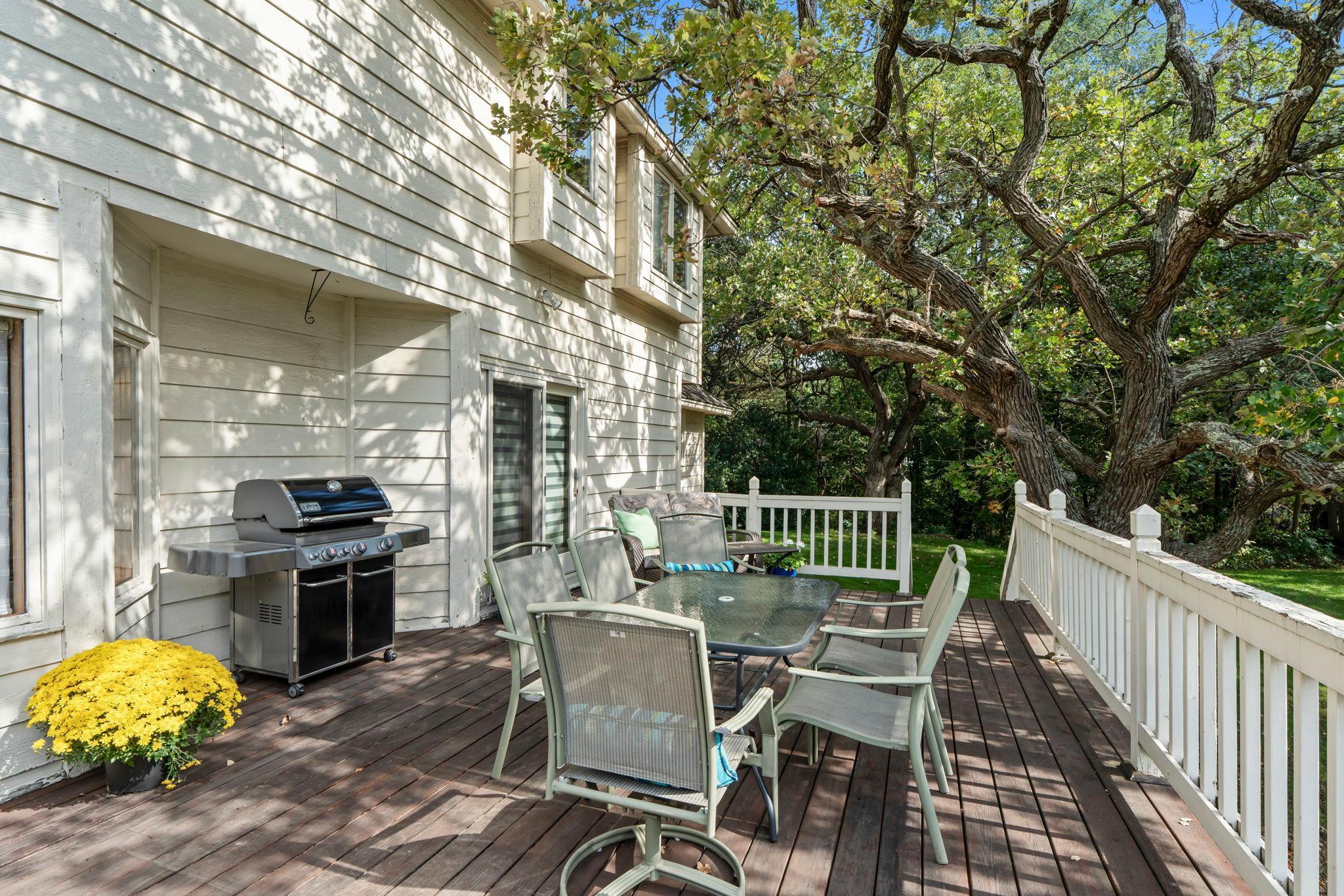 4508 149th Avenue Northwest Andover, MN 55304 - Photo 23 of 87