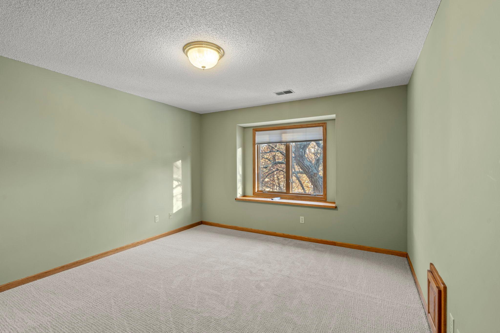 4508 149th Avenue Northwest Andover, MN 55304 - Photo 49 of 87