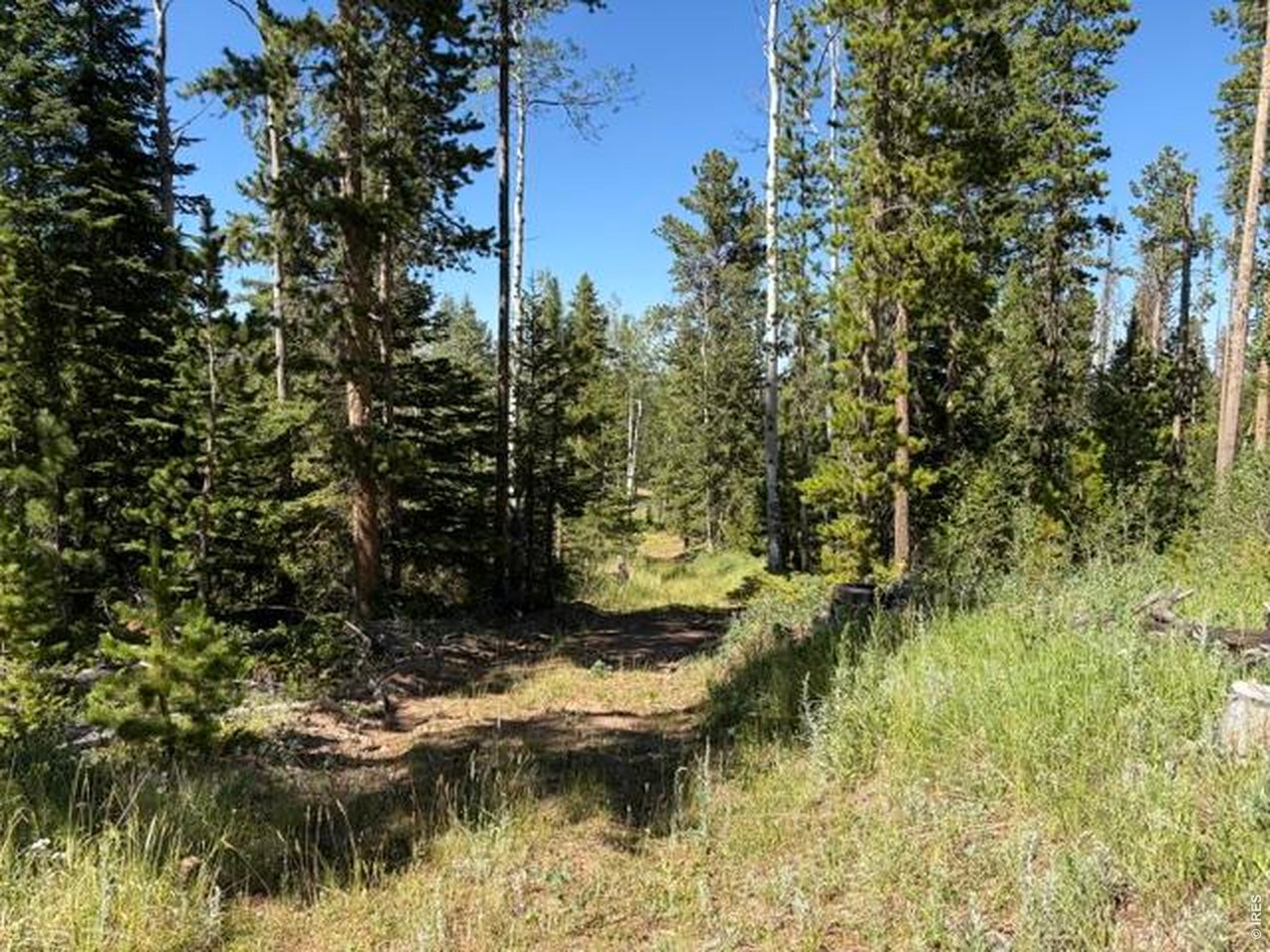 Pratt Creek Road Livermore, CO 80536 - Photo 8 of 18 Gallery Image 8