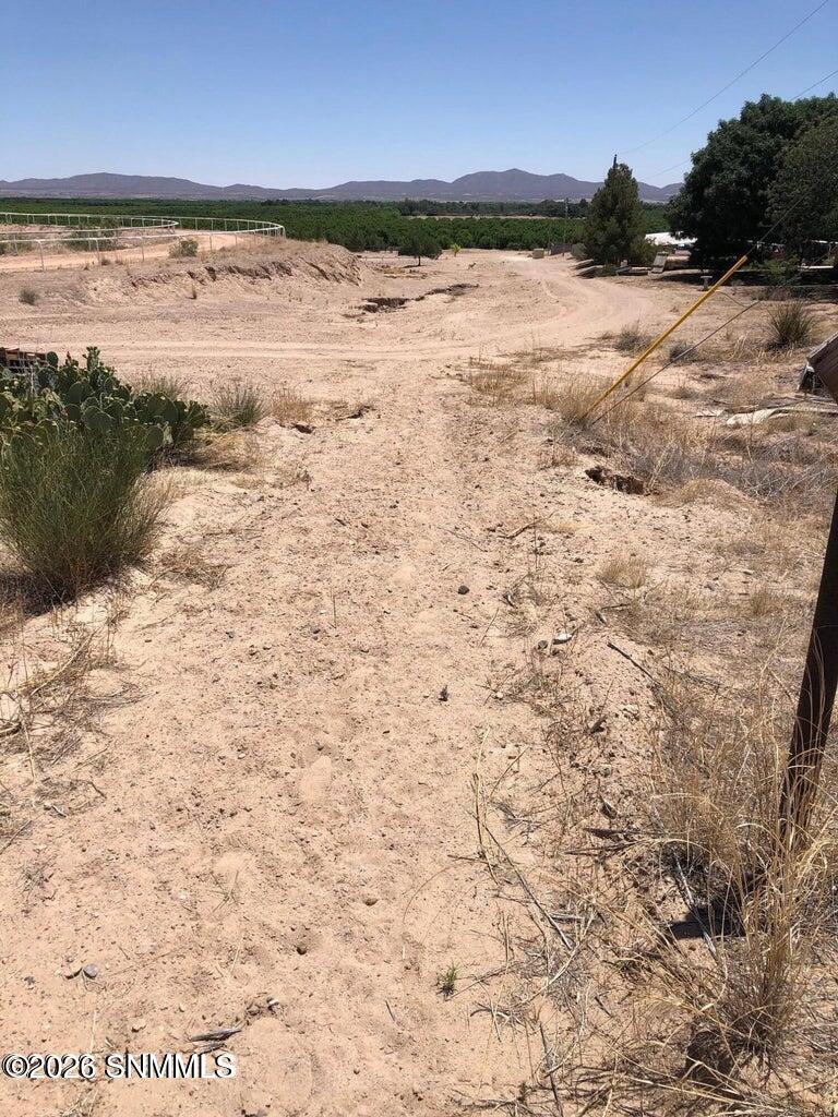 1100 Ranch Road Anthony, NM 88021 - Photo 5 of 7 Ranch Road Horse fam next door