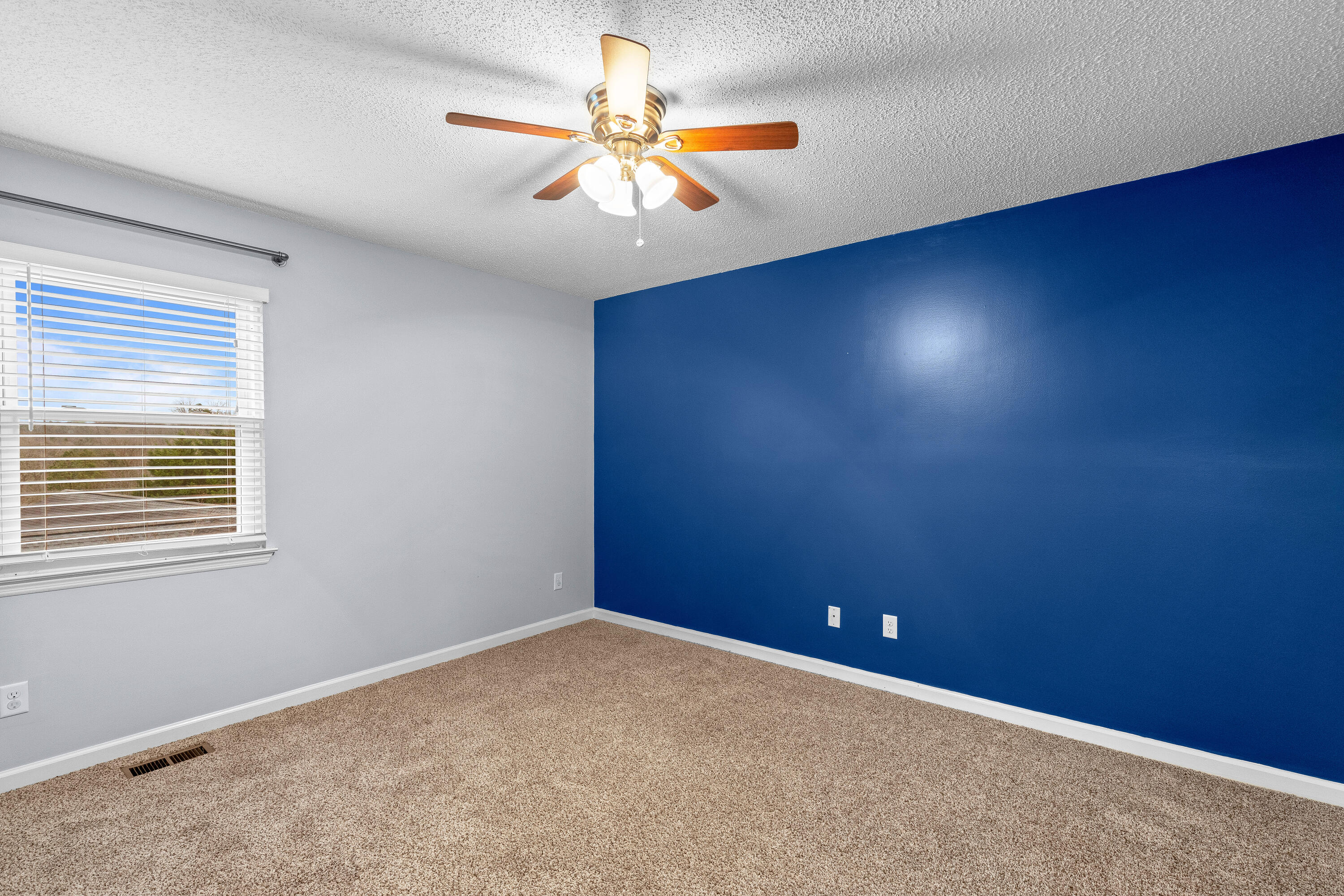 598 Hickory Ridge Trail Ringgold, GA 30736 - Photo 20 of 30 Hickory Ridge-20