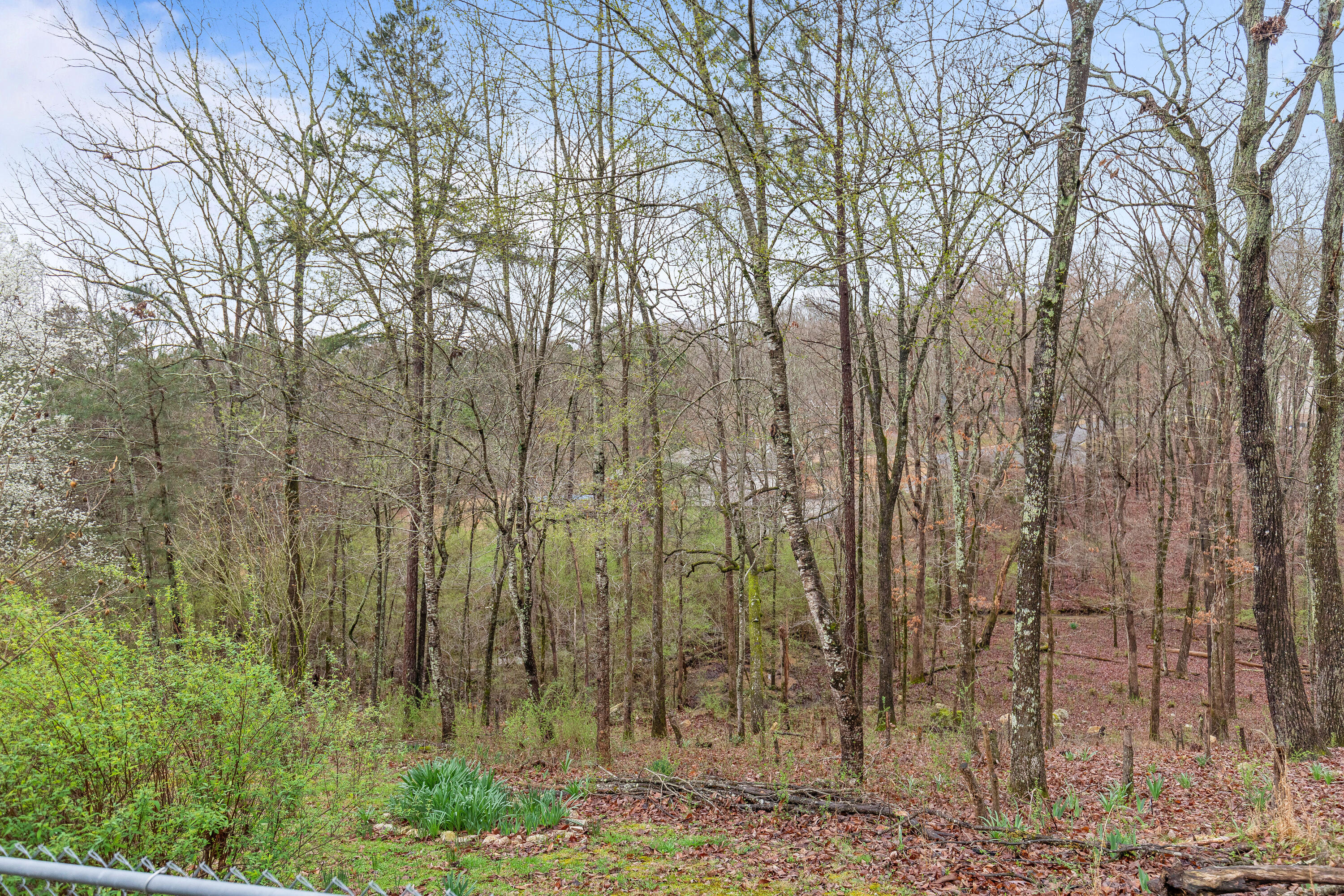 598 Hickory Ridge Trail Ringgold, GA 30736 - Photo 30 of 30 Hickory Ridge-30