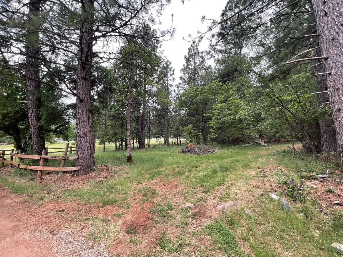 16571 Meadow Way Grass Valley, CA 95945 - Photo 2 of 13