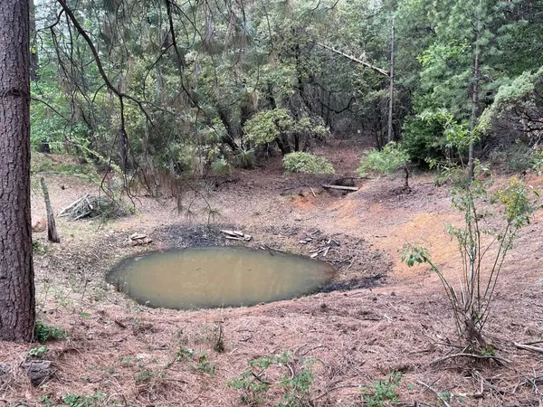 a view of a swimming pool in a yard