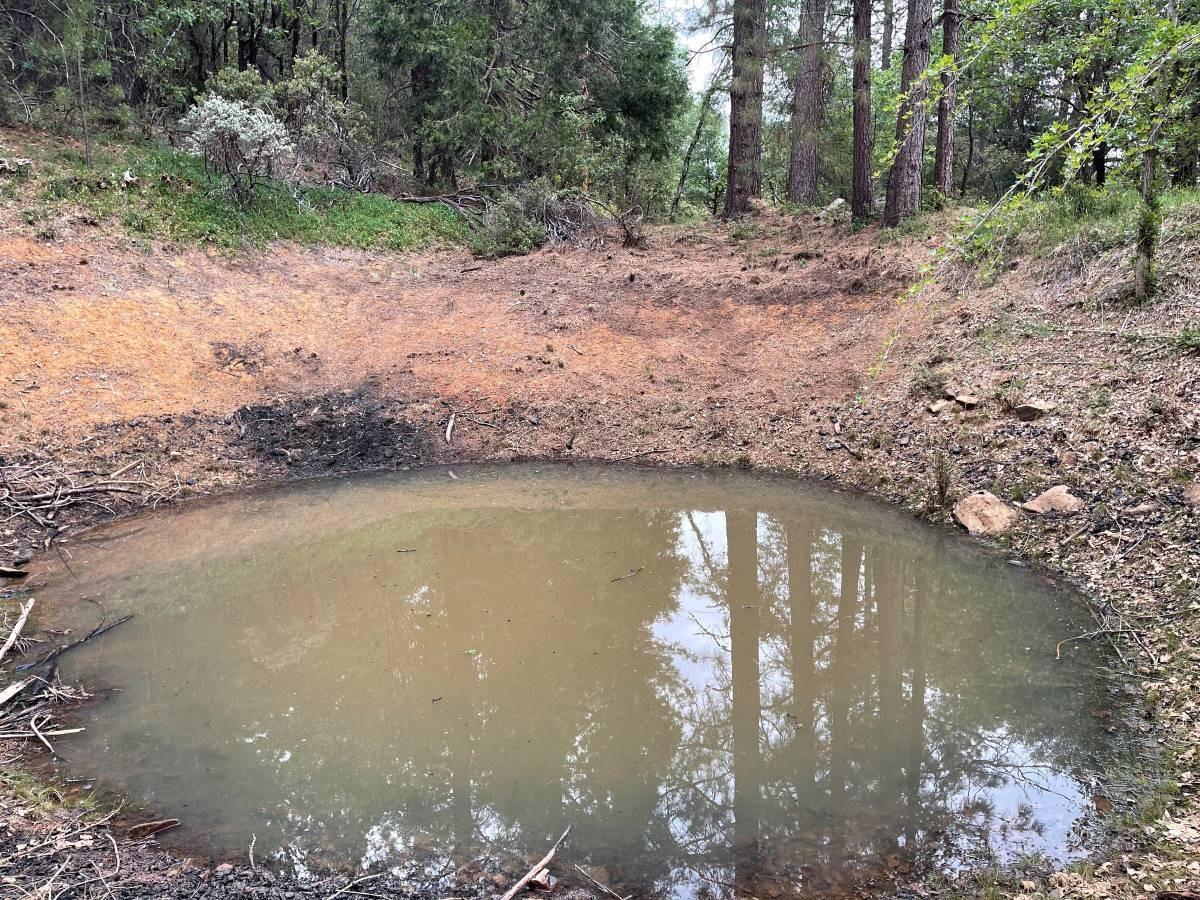 16571 Meadow Way Grass Valley, CA 95945 - Photo 4 of 13