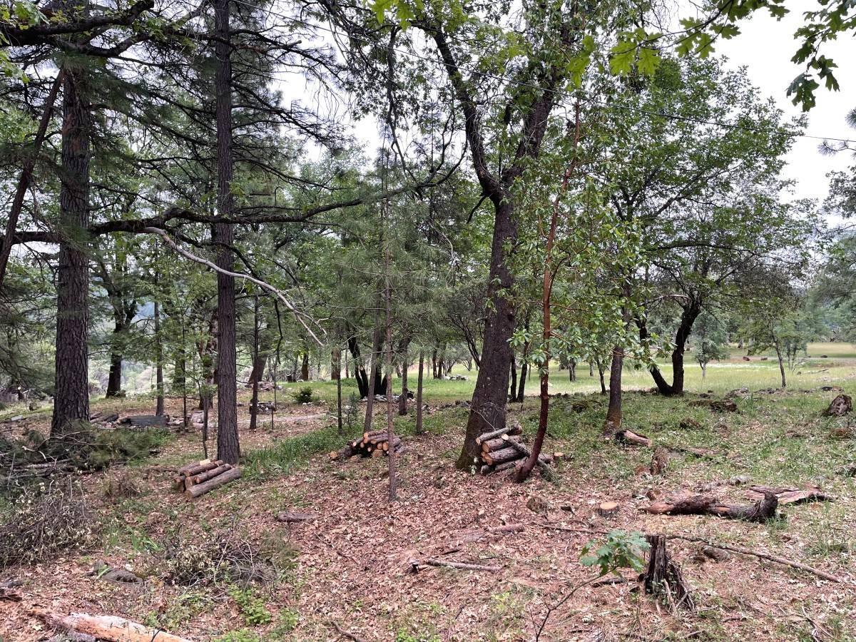 16571 Meadow Way Grass Valley, CA 95945 - Photo 5 of 13