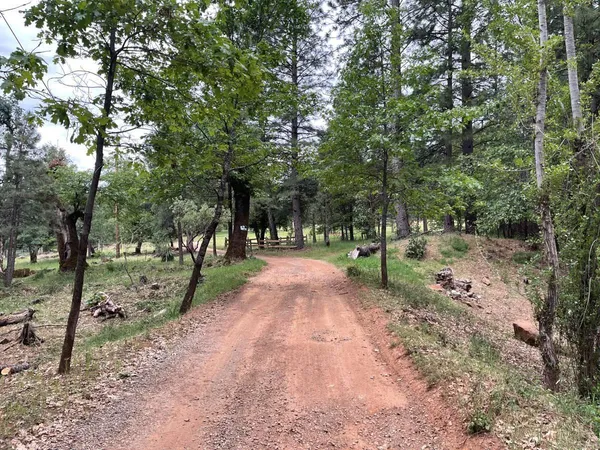 a view of road with trees
