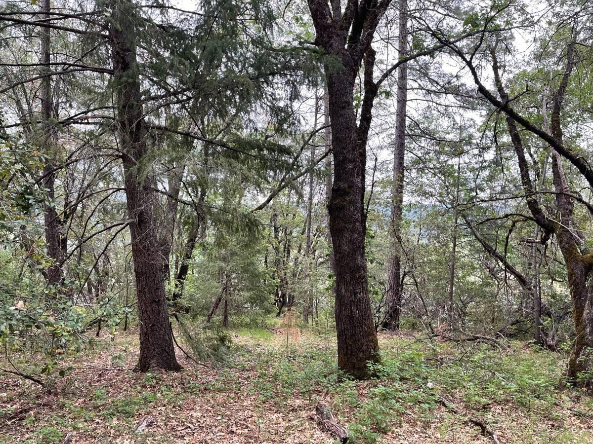 16571 Meadow Way Grass Valley, CA 95945 - Photo 8 of 13