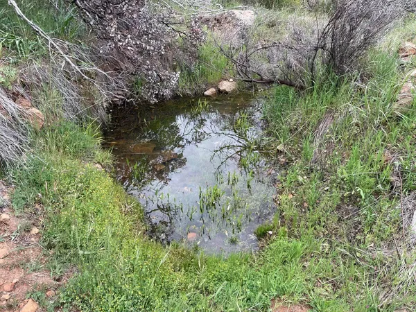 a view of a lake with green space