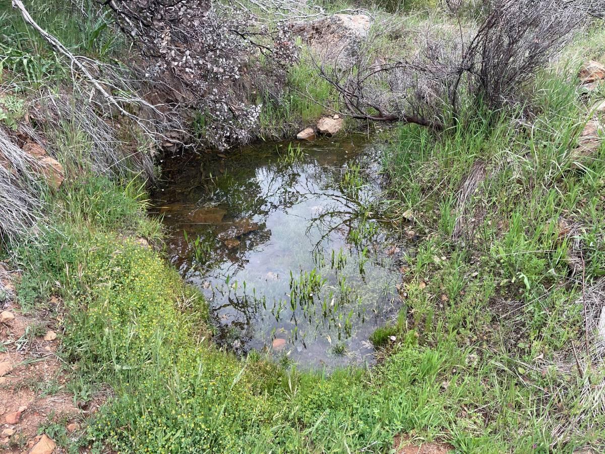 16571 Meadow Way Grass Valley, CA 95945 - Photo 10 of 13