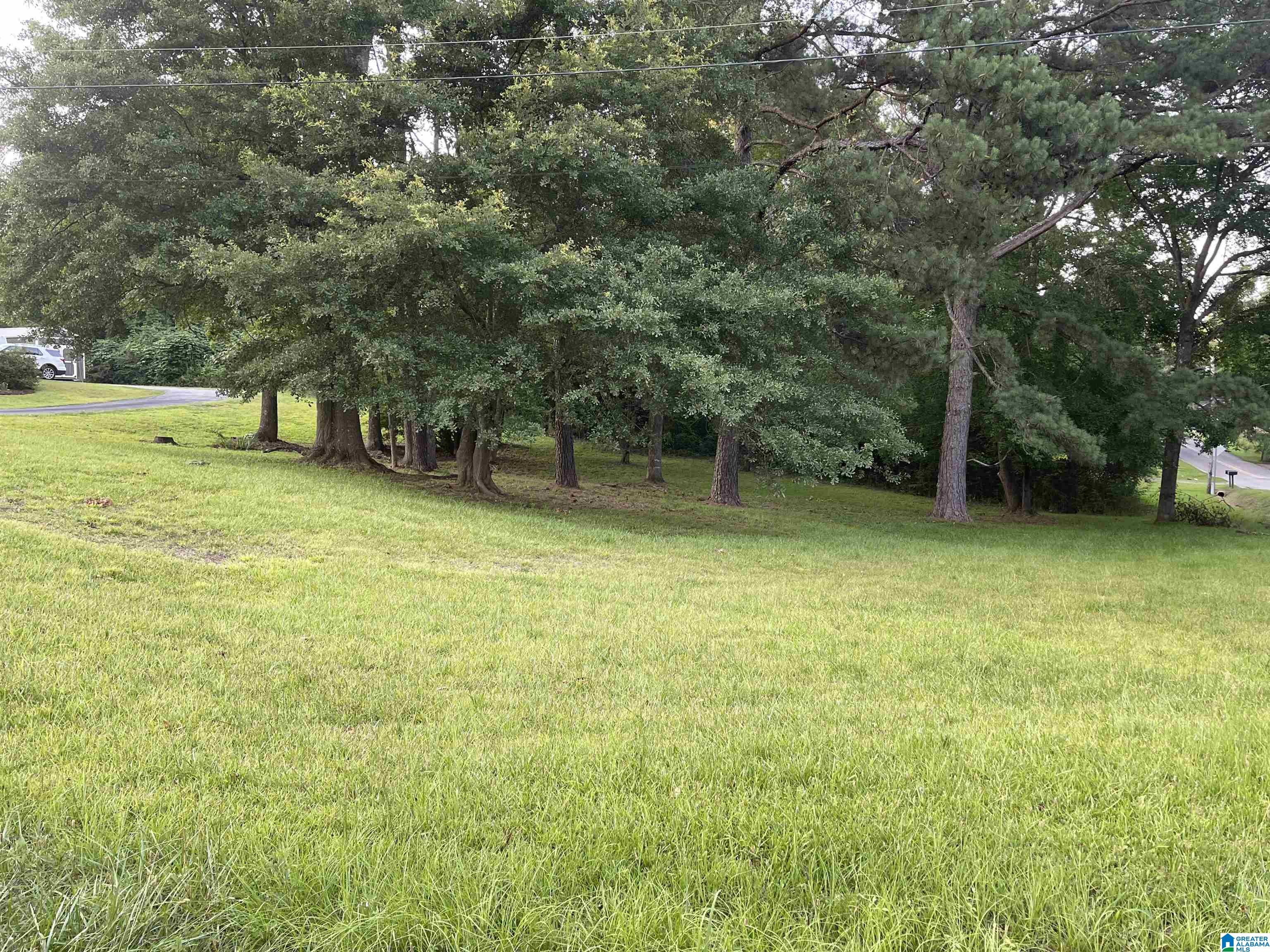 1233 Highway 440 Chelsea, AL 35043 - Photo 5 of 5
