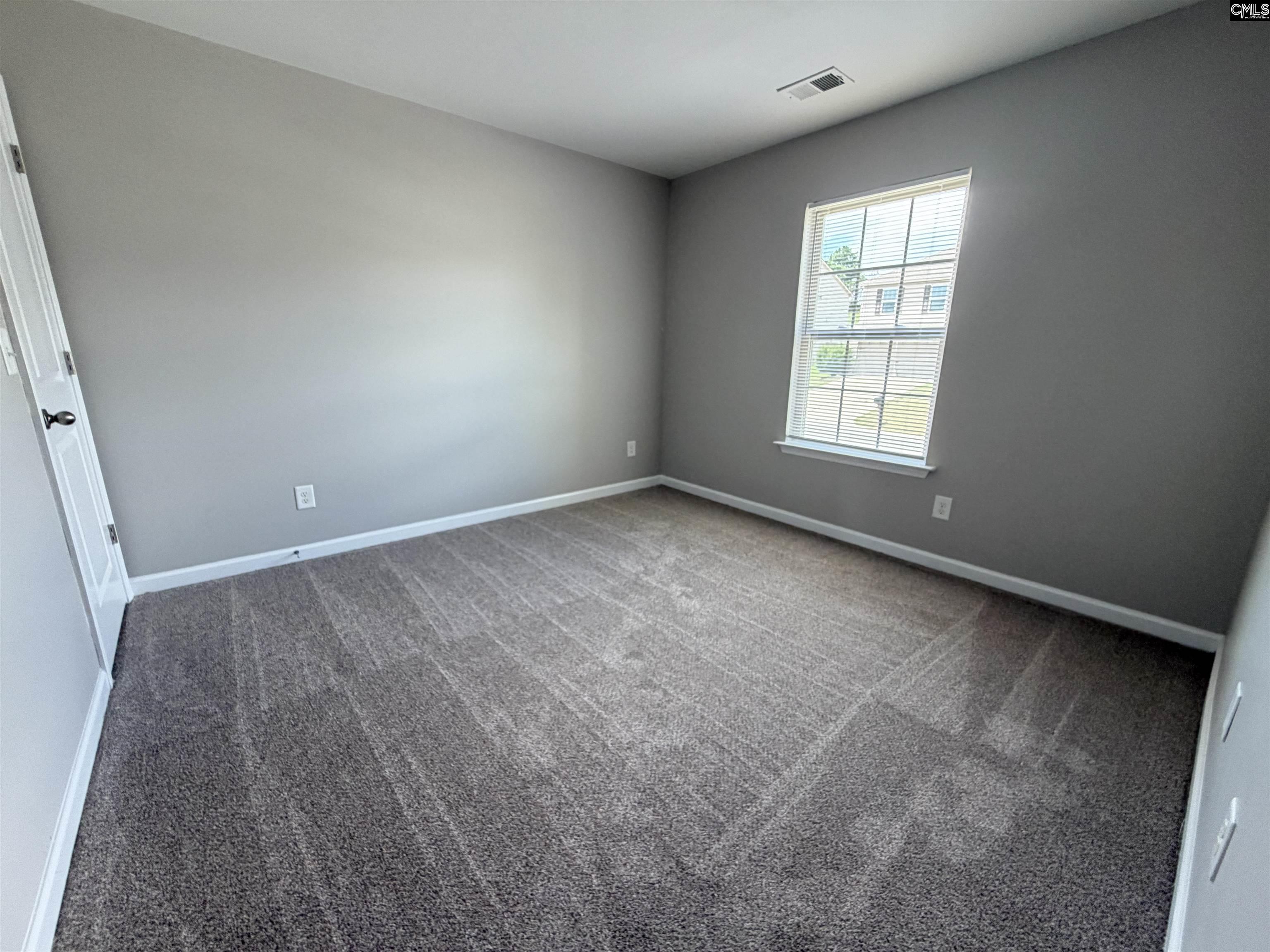 428 Riglaw Circle Lexington, SC 29073 - Photo 17 of 25