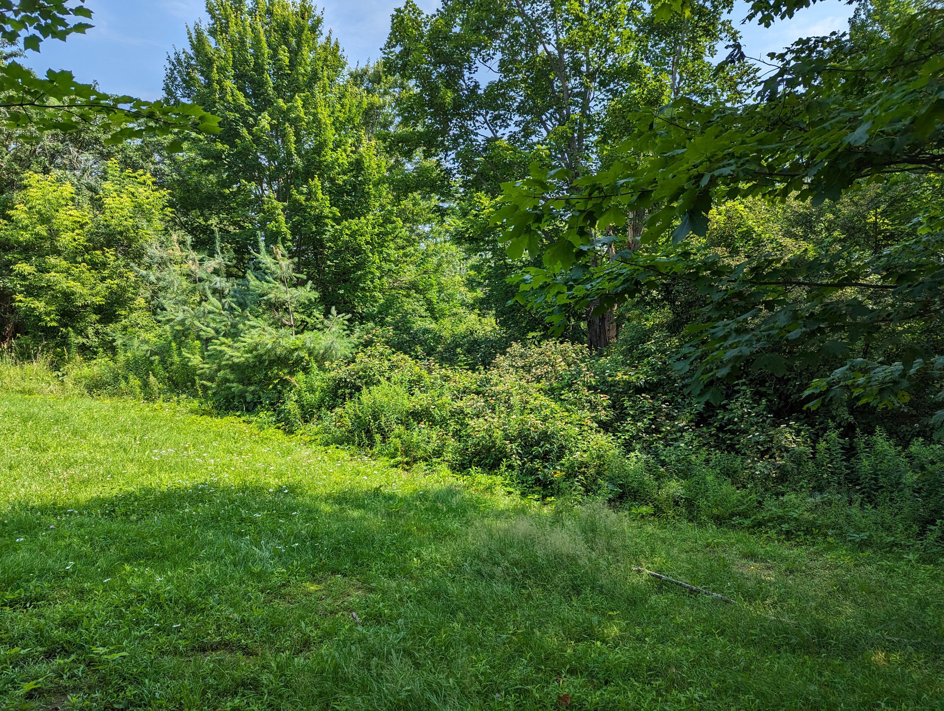 341 River Road Windham, ME 04062 - Photo 2 of 4 PXL_20230713_142245448