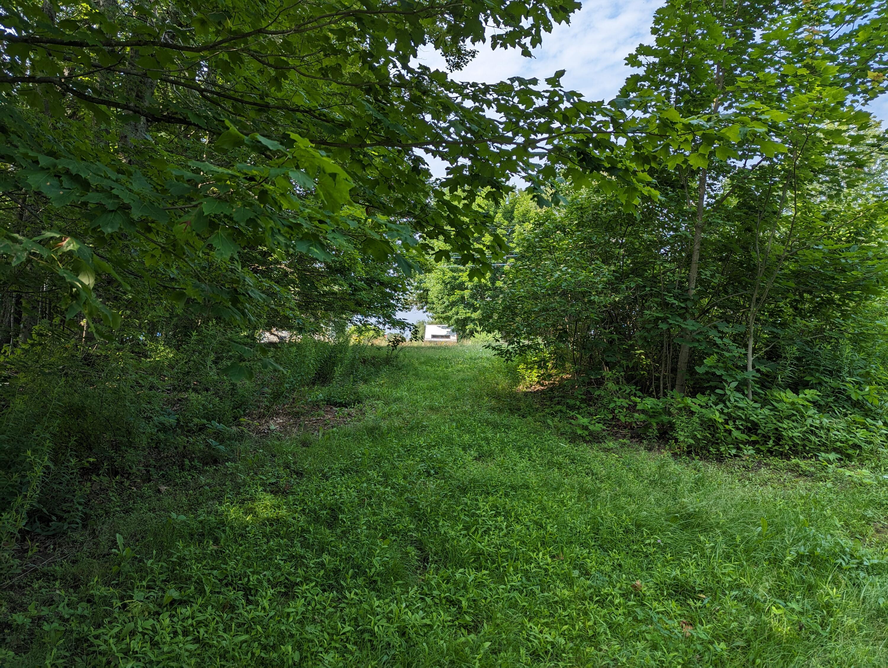 341 River Road Windham, ME 04062 - Photo 4 of 4 PXL_20230713_142303513