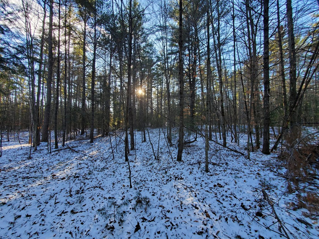 558 Fox Run Road Lewis, NY 12950 - Photo 3 of 9 Gallery Image 3