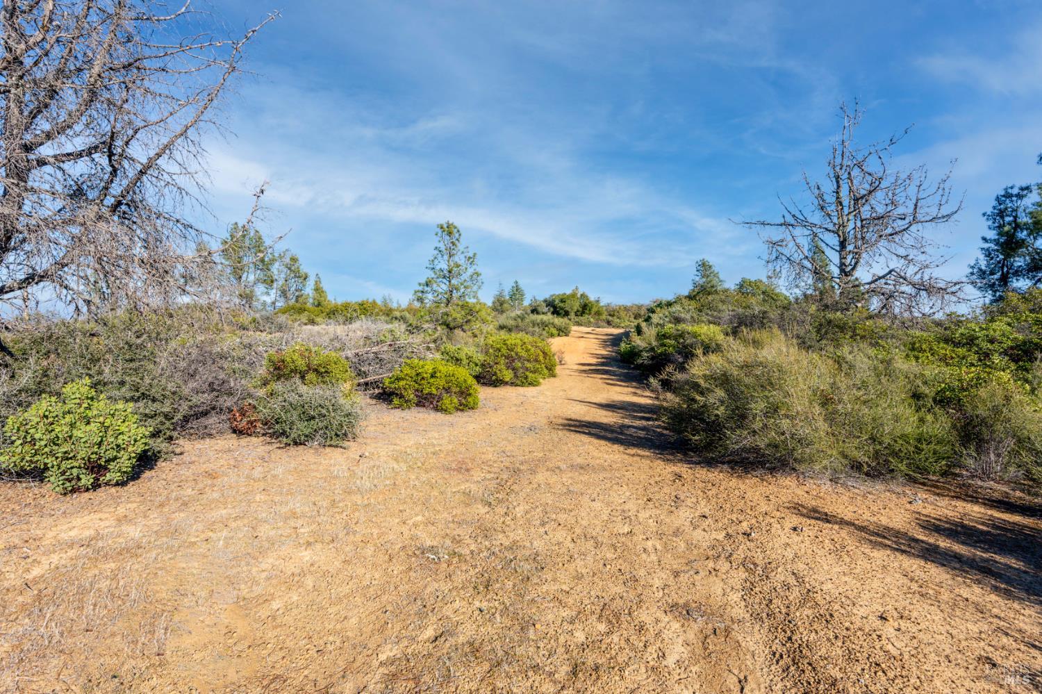 3681 Benmore Valley Road Hopland, CA 95449 - Photo 12 of 20 a view of a yard with trees