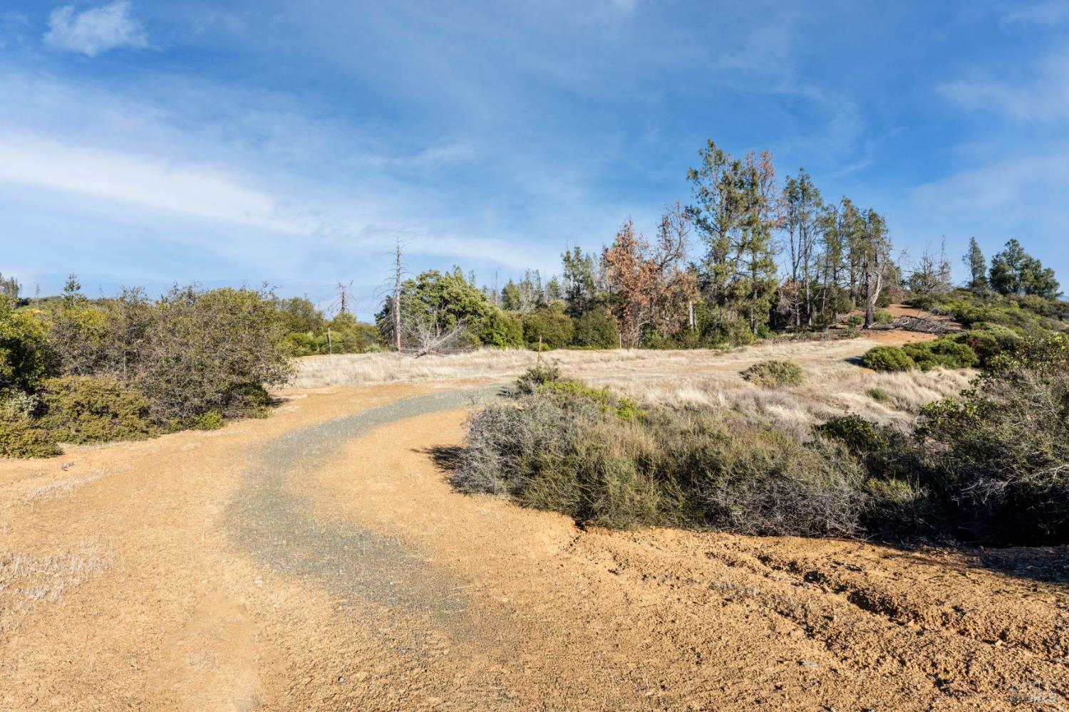 3681 Benmore Valley Road Hopland, CA 95449 - Photo 14 of 20 a view of a road with a yard
