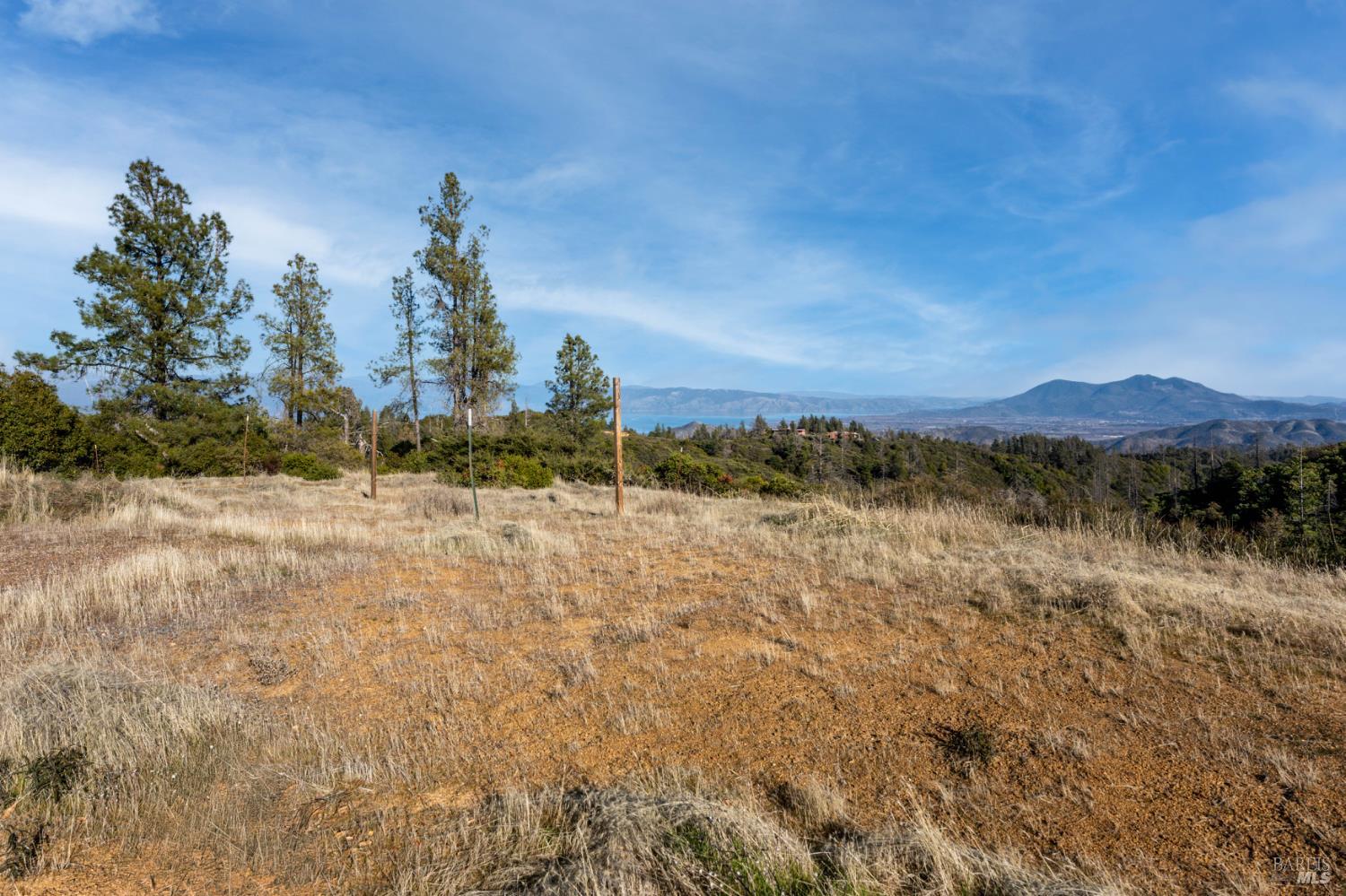 3681 Benmore Valley Road Hopland, CA 95449 - Photo 18 of 20 a view of a dry yard with trees