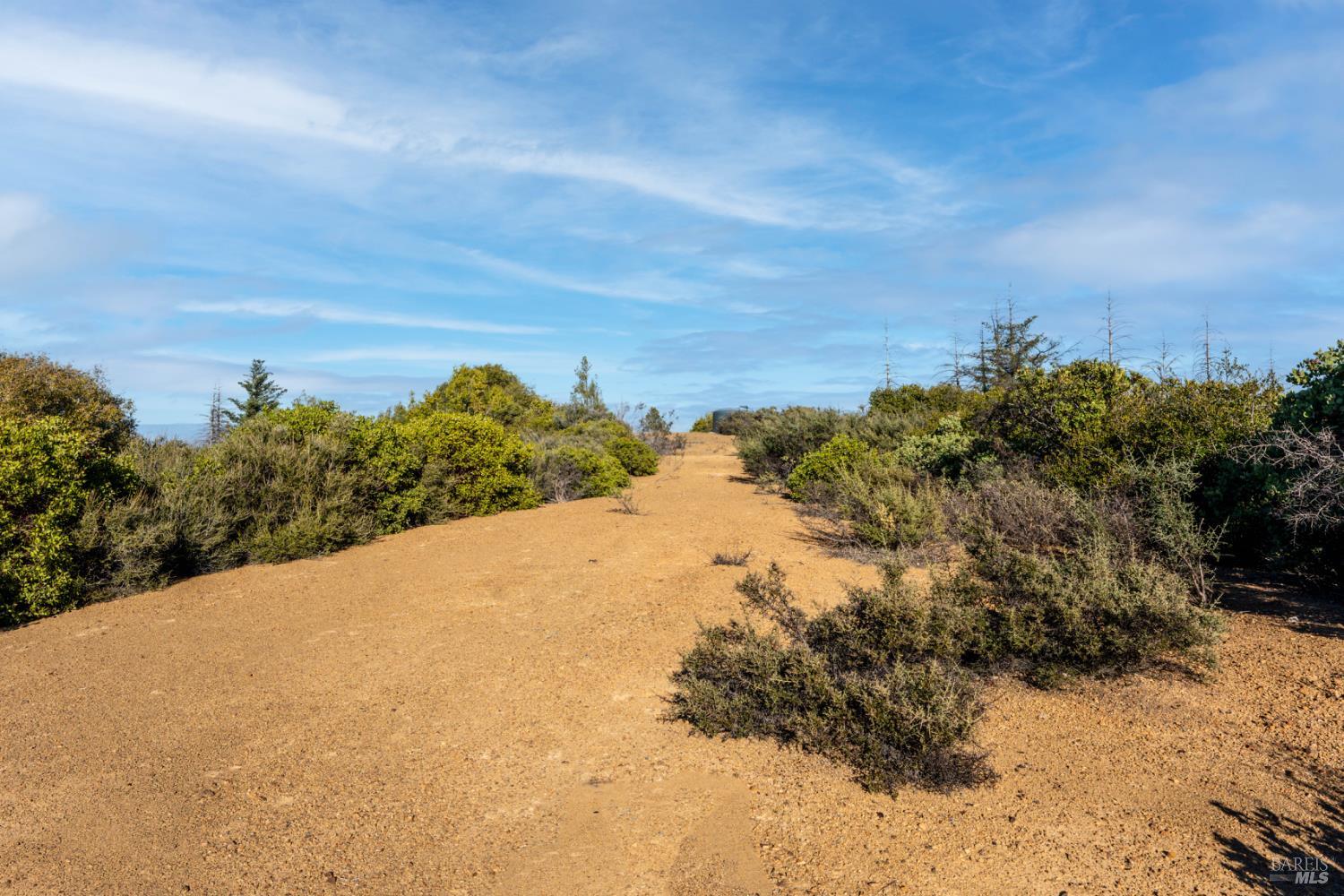 3681 Benmore Valley Road Hopland, CA 95449 - Photo 19 of 20 a view of a dry yard with trees in the background