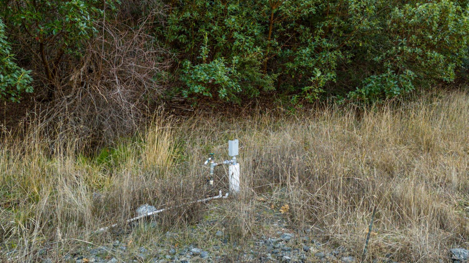 3681 Benmore Valley Road Hopland, CA 95449 - Photo 10 of 20 a view of a yard