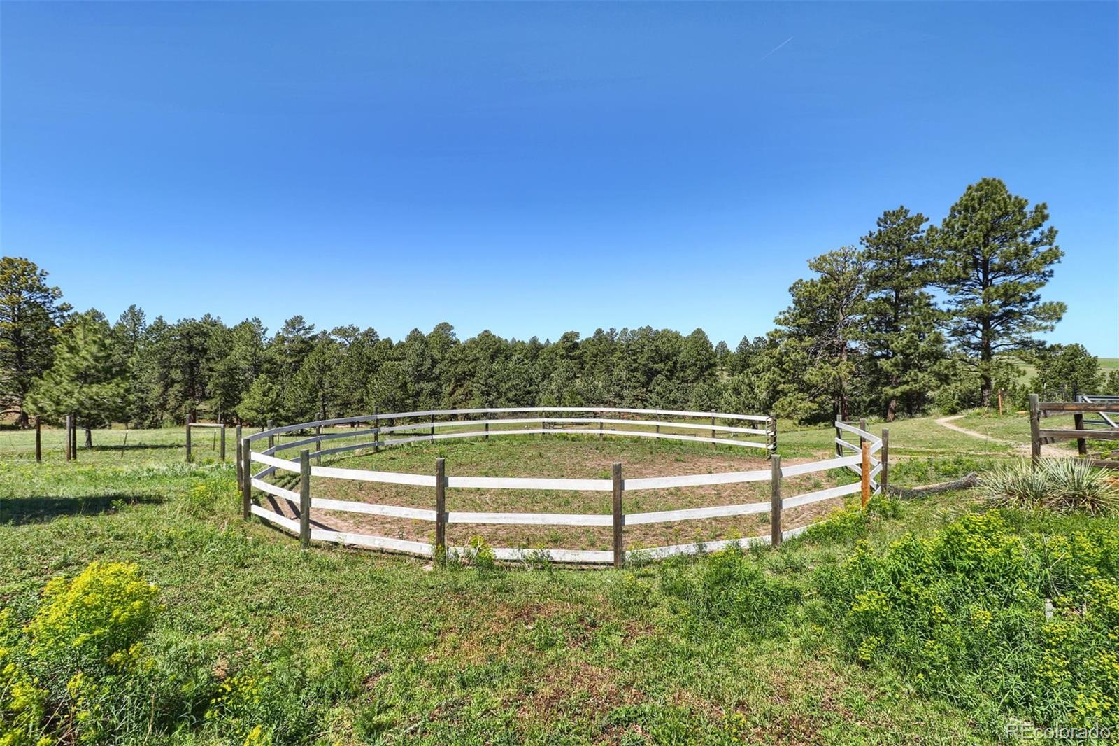 8171 North Delbert Road Parker, CO 80138 - Photo 23 of 33 Gallery Image 23