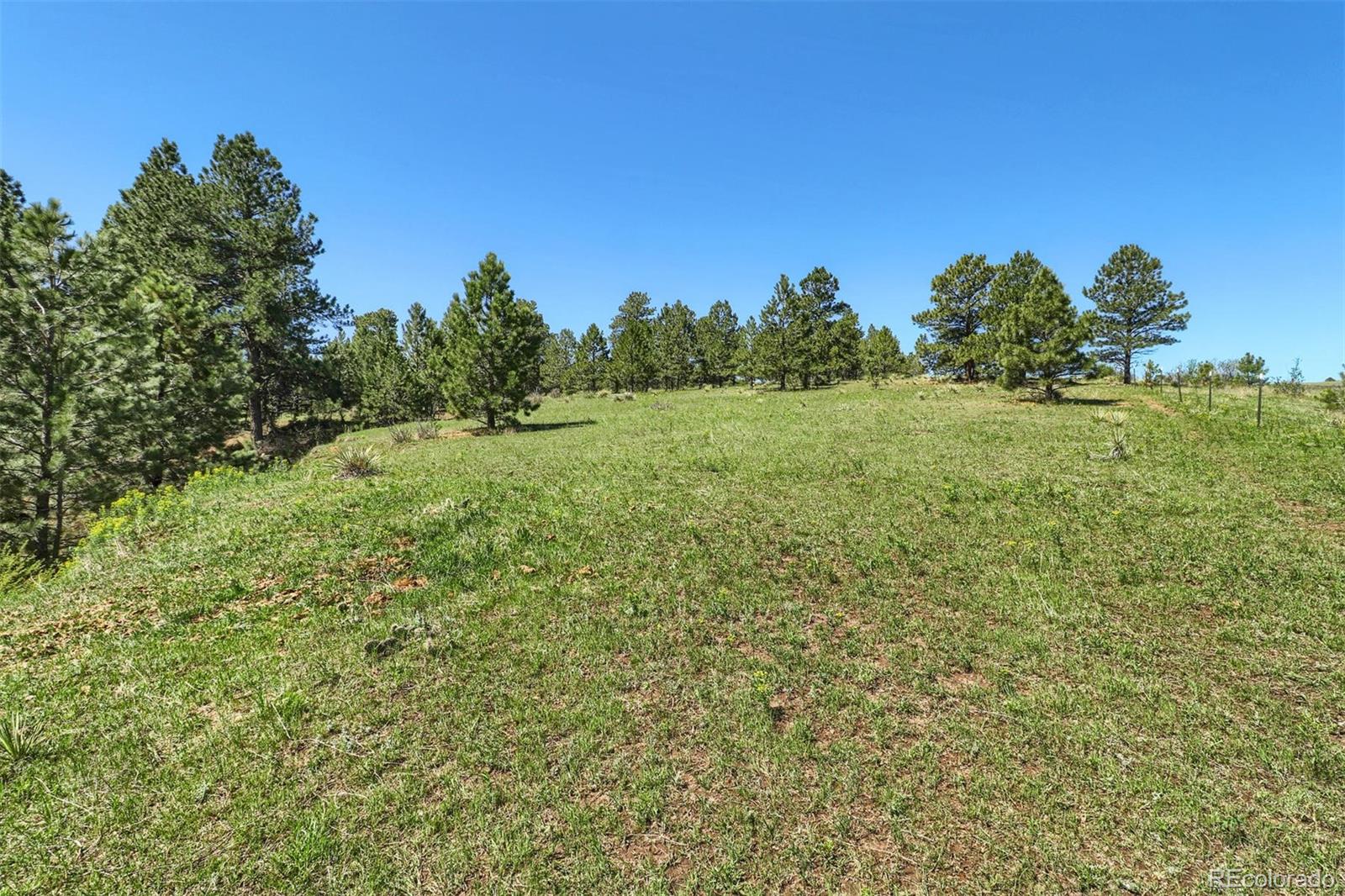 8171 North Delbert Road Parker, CO 80138 - Photo 29 of 33 Gallery Image 29