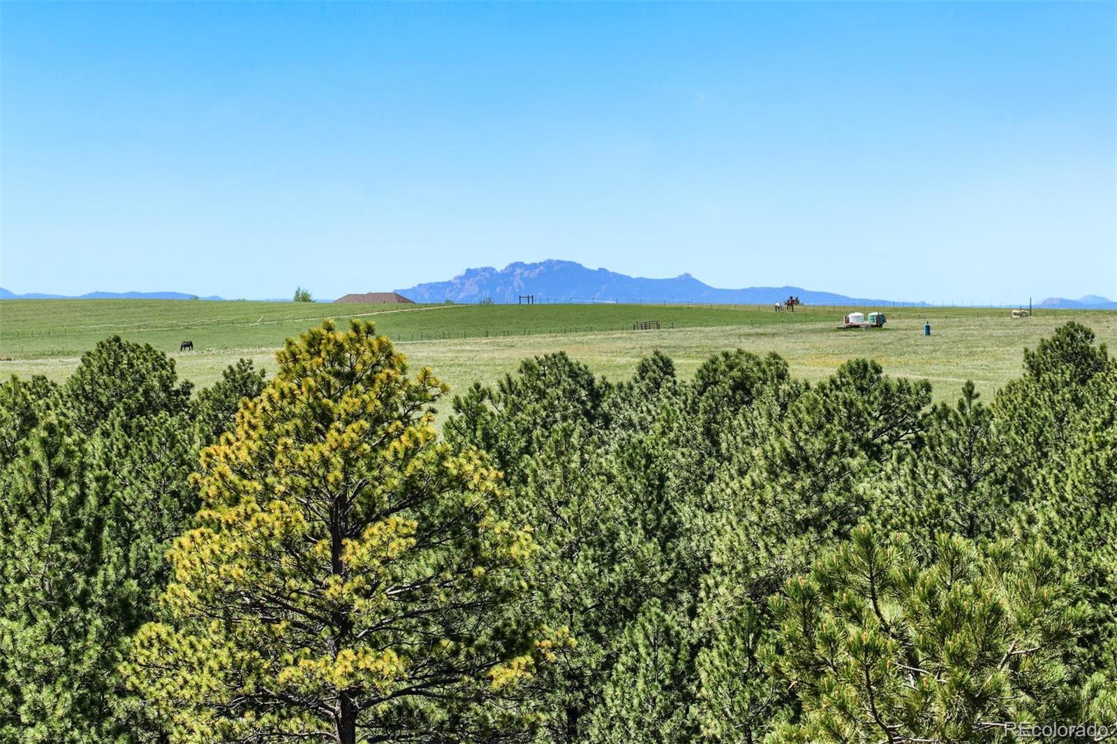 8171 North Delbert Road Parker, CO 80138 - Photo 32 of 33 Gallery Image 32