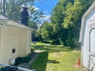 a view of a park with large trees