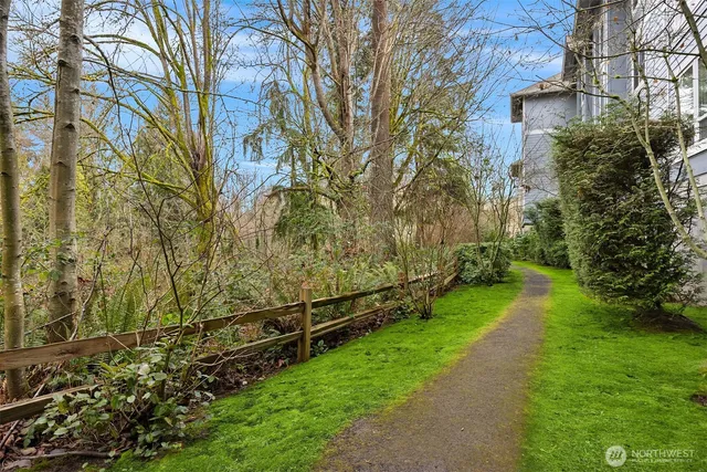 a view of a yard with wooden fence