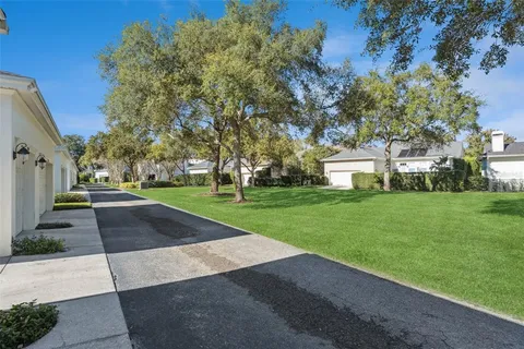 a view of a park with plants and trees