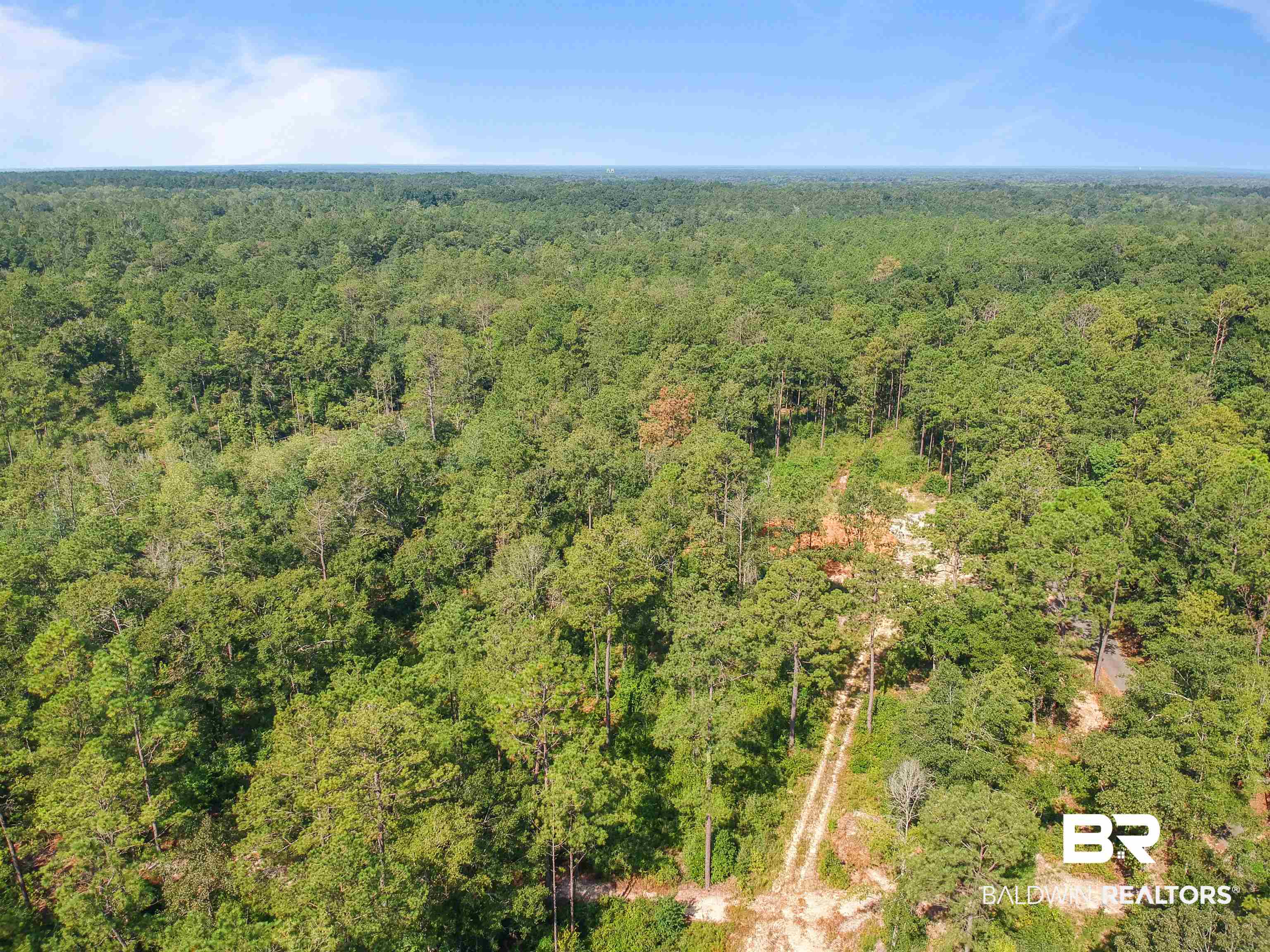 42464 Dixon Road South Bay Minette, AL 36507 - Photo 4 of 8
