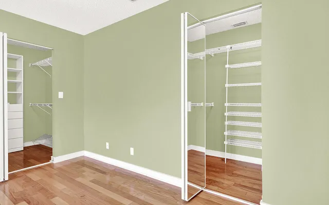 a view of walk in closet with empty racks