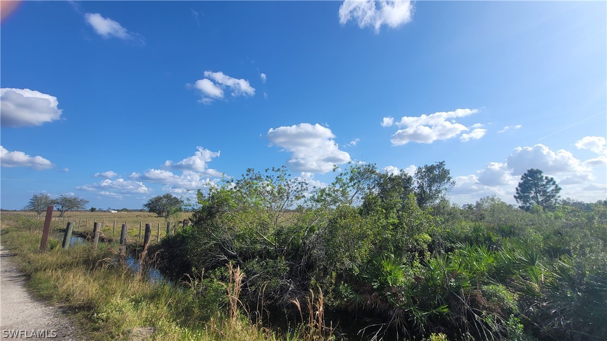 23855 Dixie Road LaBelle, FL 33935 - Photo 4 of 15 Gallery Image 4