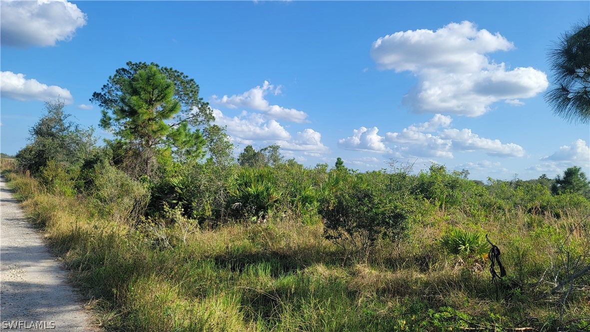 23855 Dixie Road LaBelle, FL 33935 - Photo 5 of 15 Gallery Image 5