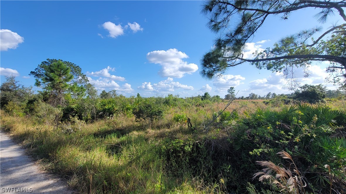 23855 Dixie Road LaBelle, FL 33935 - Photo 6 of 15 Gallery Image 6
