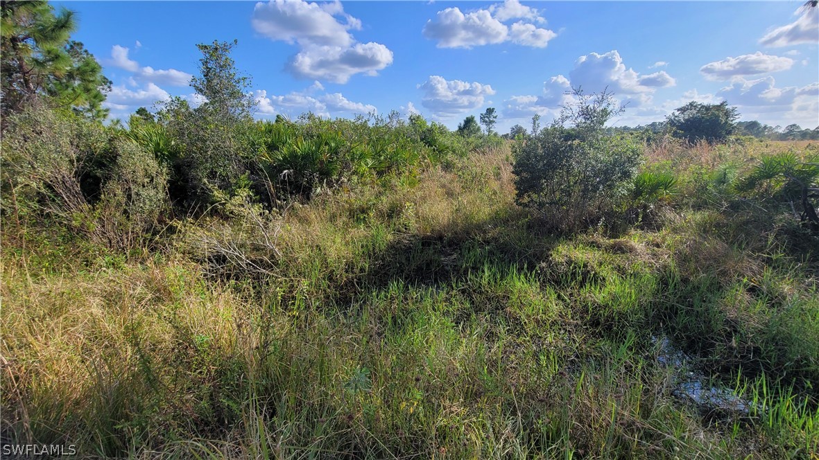 23855 Dixie Road LaBelle, FL 33935 - Photo 7 of 15 Gallery Image 7