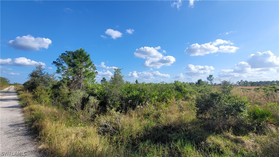 23855 Dixie Road LaBelle, FL 33935 - Photo 8 of 15 Gallery Image 8