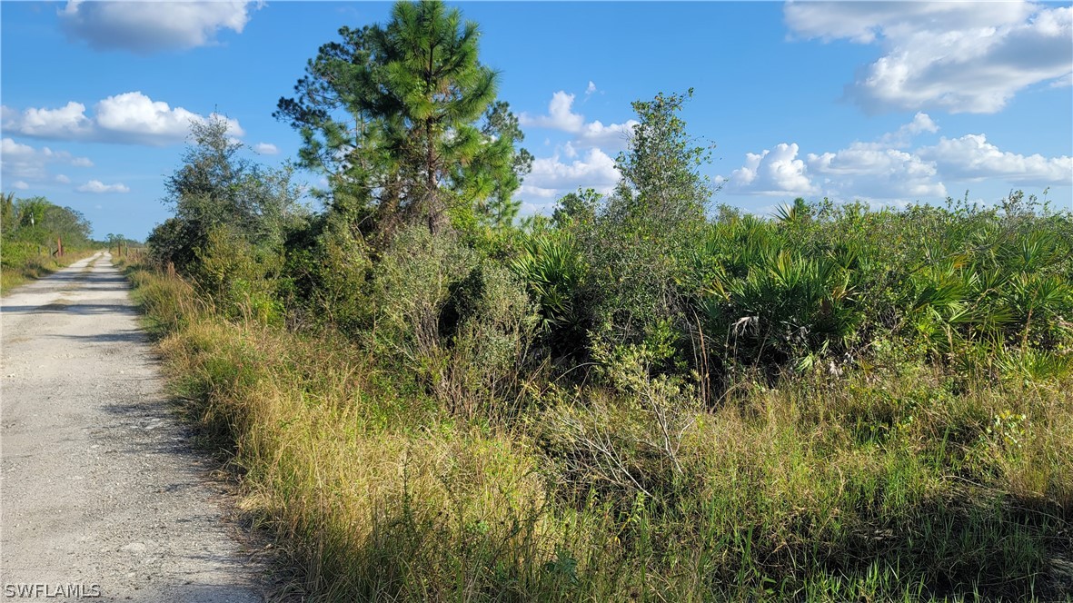 23855 Dixie Road LaBelle, FL 33935 - Photo 9 of 15 Gallery Image 9