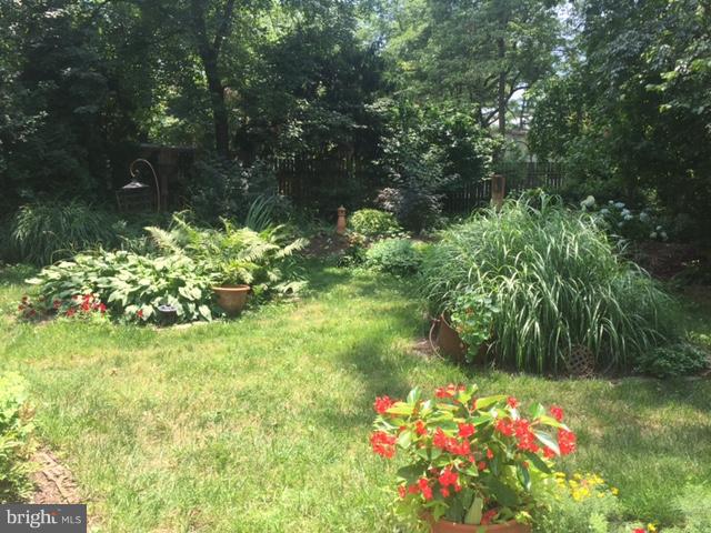 3302 Fayette Road Kensington, MD 20895 - Photo 27 of 30 Backyard Gardens