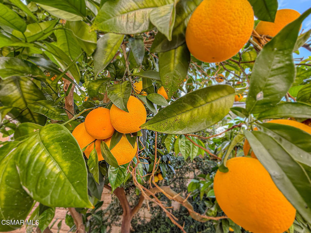 260 Sycamore Ridge Street Simi Valley, CA 93065 - Photo 50 of 58 a view of a swimming pool and outside